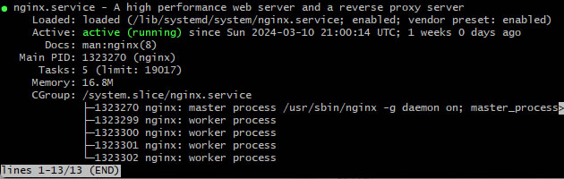 instalar nginx - comprobación del estado del servicio